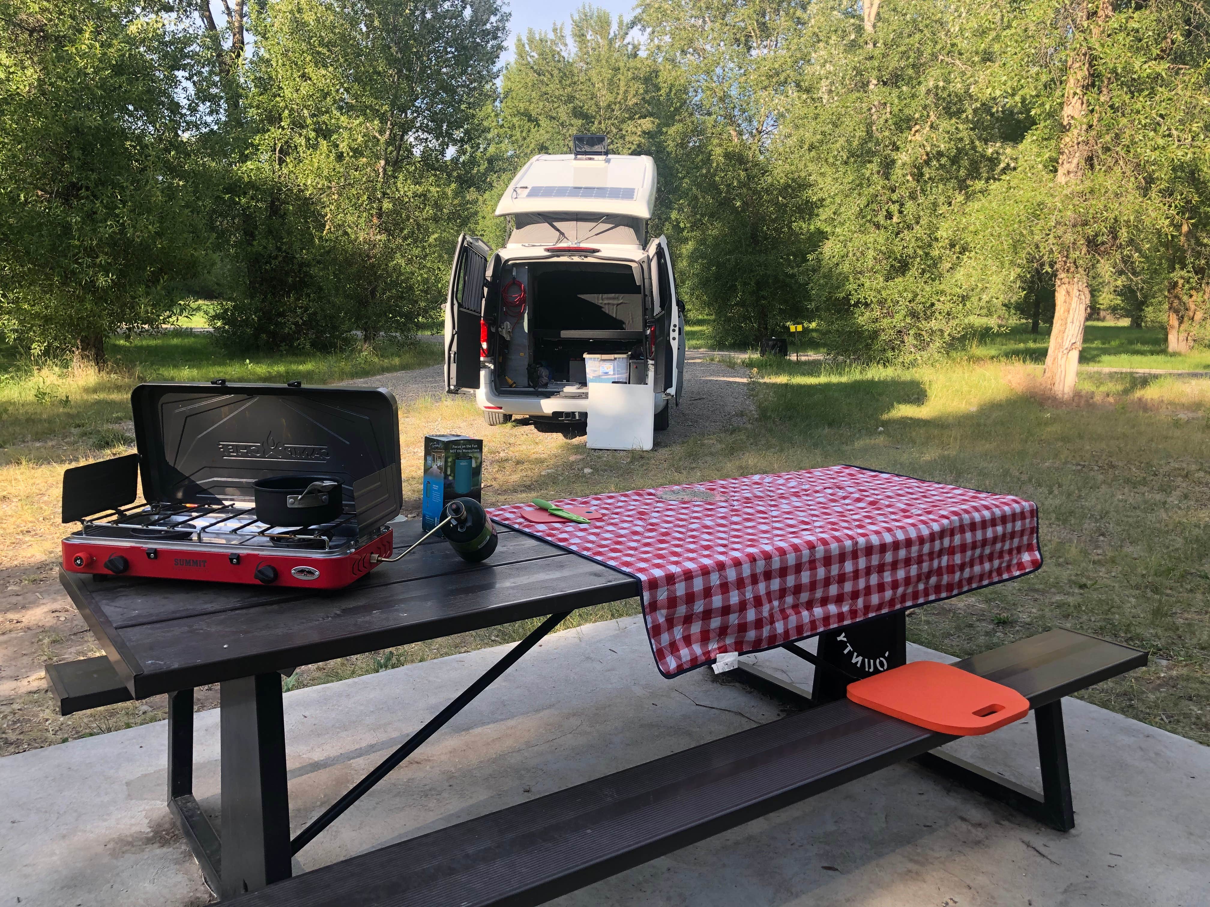 Camper-submitted photo at Twin Bridges Park near Rigby, ID