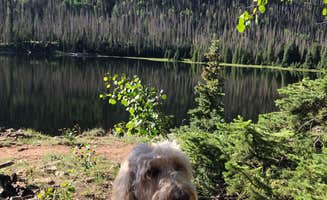 Rebeca H.'s photo of camping with pets at Big Meadows Reservoir Campground (south Central Co) near Pagosa Springs, CO