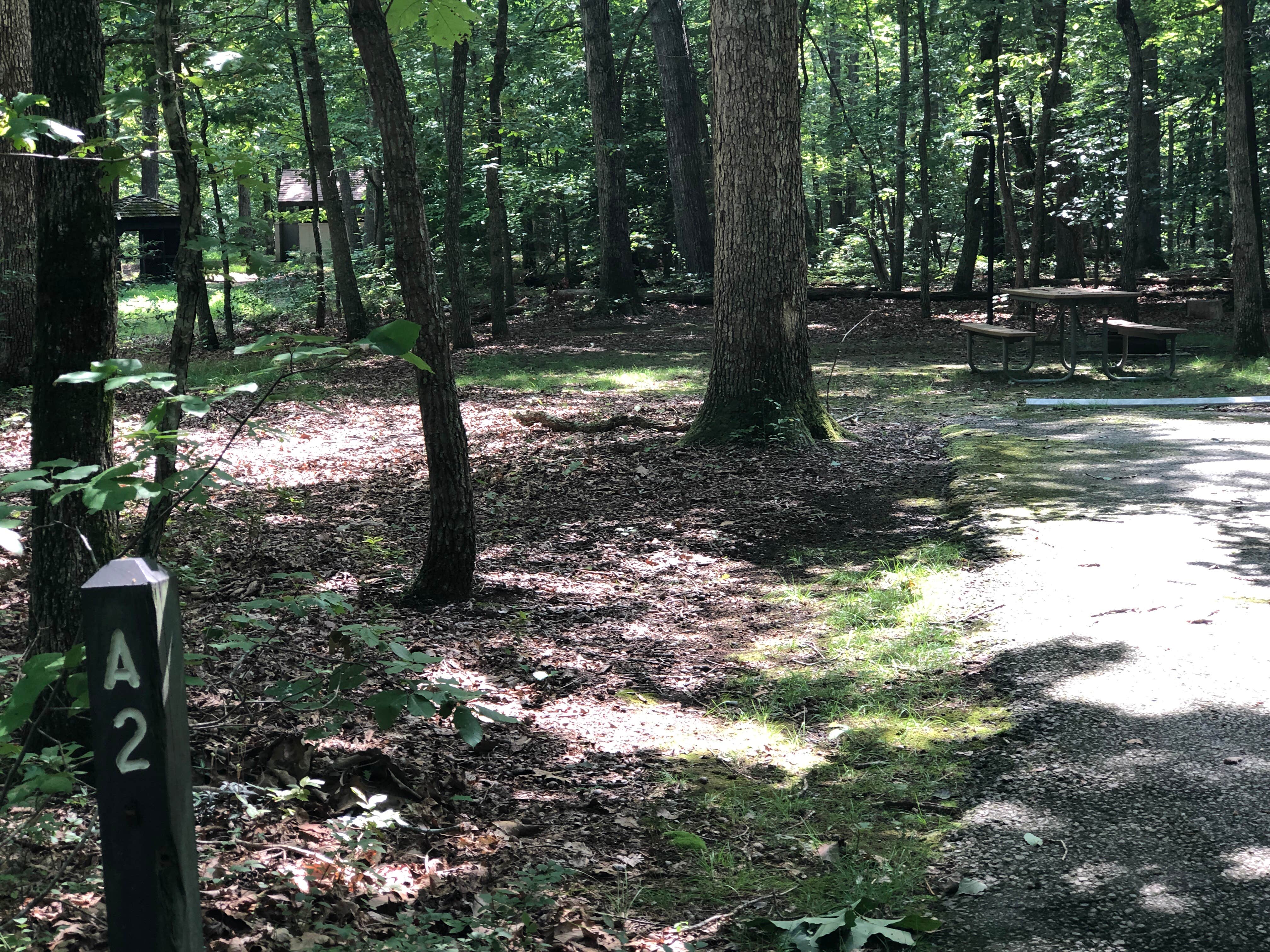 Camper submitted image from Turkey Run Ridge Group Campground — Prince William Forest Park - 2