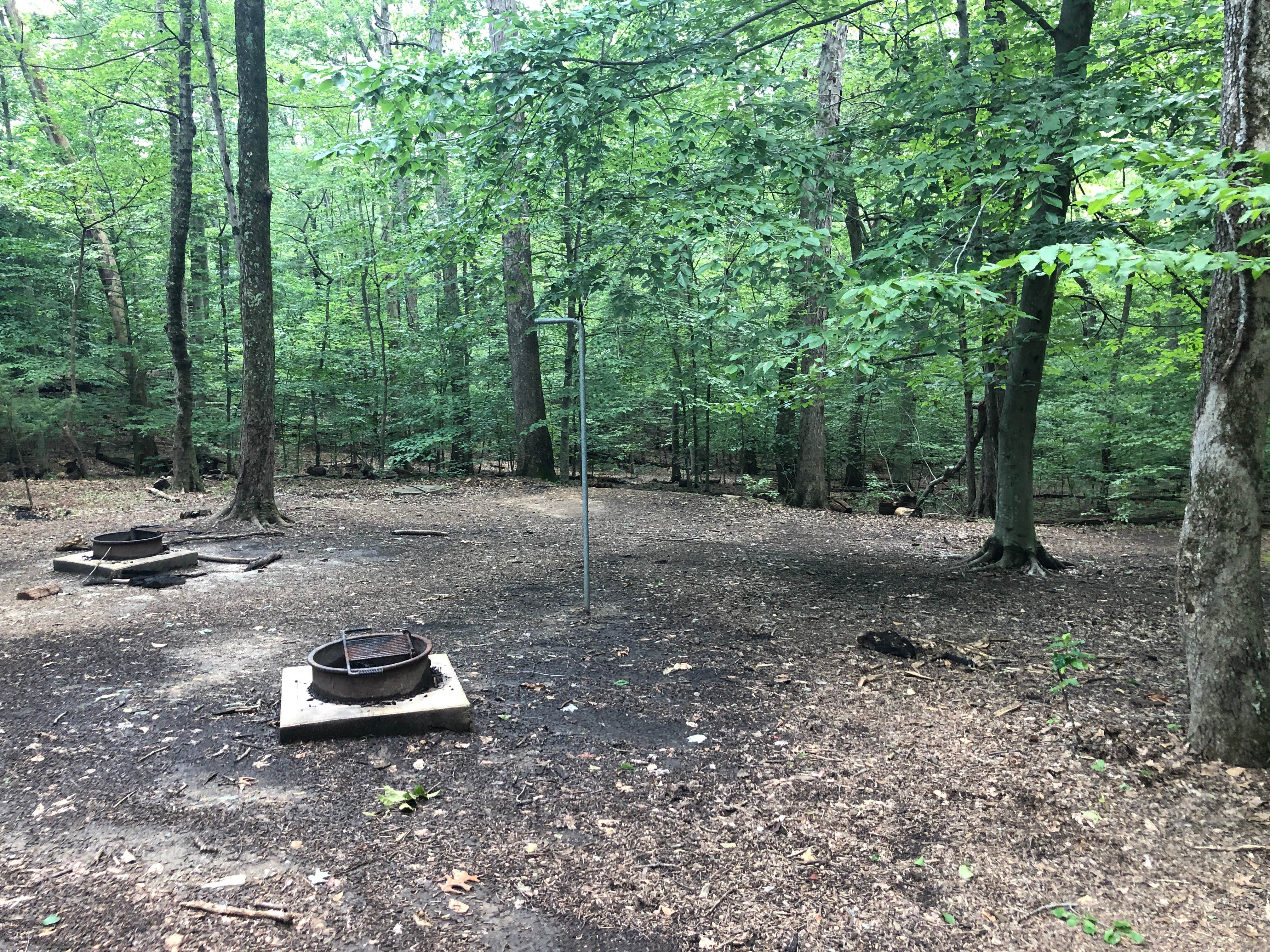 Camper submitted image from Turkey Run Ridge Group Campground — Prince William Forest Park - 5