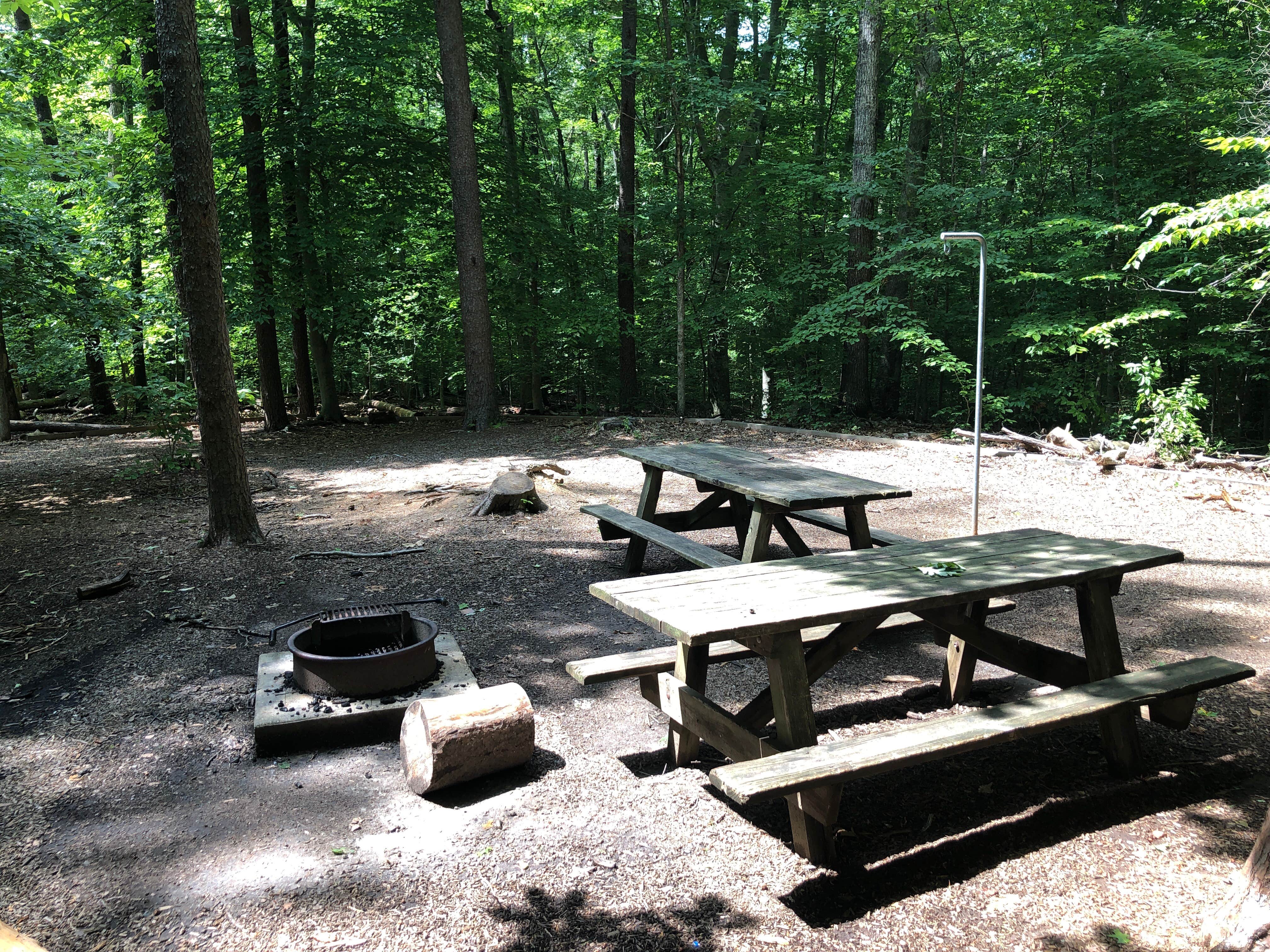 Camper submitted image from Turkey Run Ridge Group Campground — Prince William Forest Park - 4