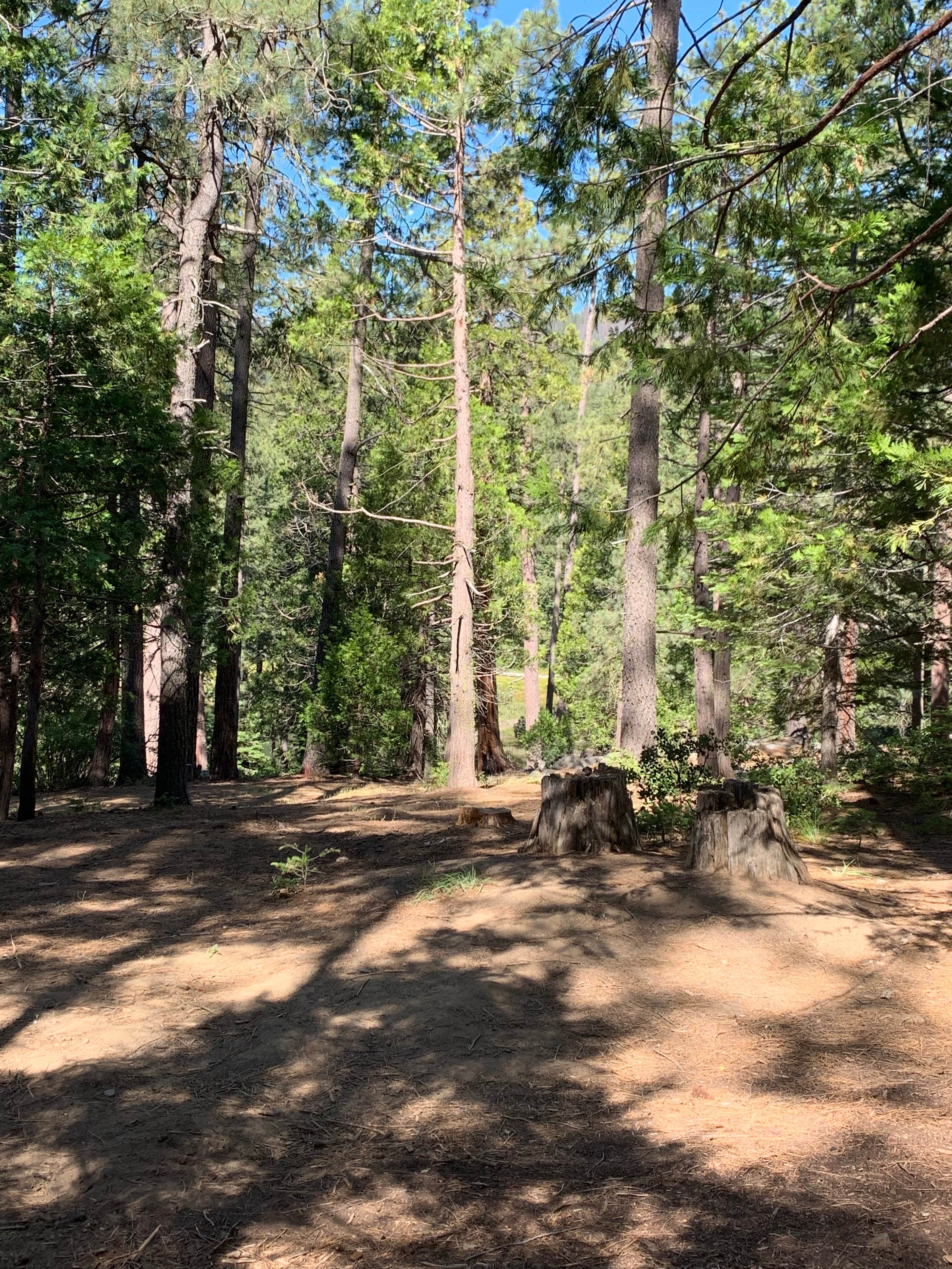 Camper-submitted photo at Camp Edison near Big Creek, CA