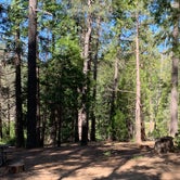 Review photo of Camp Edison by Rebecca  D., July 13, 2019