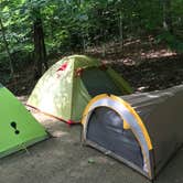 Review photo of Koomer Ridge Campground — Daniel Boone National Forest by Matt A., July 13, 2019