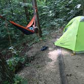 Review photo of Koomer Ridge Campground — Daniel Boone National Forest by Matt A., July 13, 2019