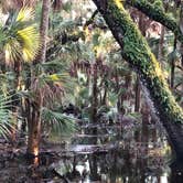 Review photo of Palmetto Ridge Campground — Myakka River State Park by Fitz Edward O., July 13, 2019