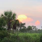 Review photo of Palmetto Ridge Campground — Myakka River State Park by Fitz Edward O., July 13, 2019