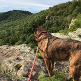 Review photo of White Rock Mountain Recreation Area by Lisa H., July 13, 2019