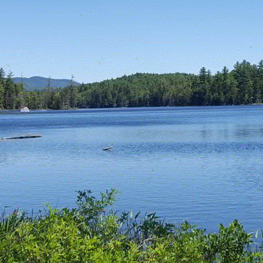 Camper submitted image from Lake Durant Adirondack Preserve - 2