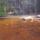 Review photo of Lake Durant Adirondack Preserve by Michael G., July 13, 2019