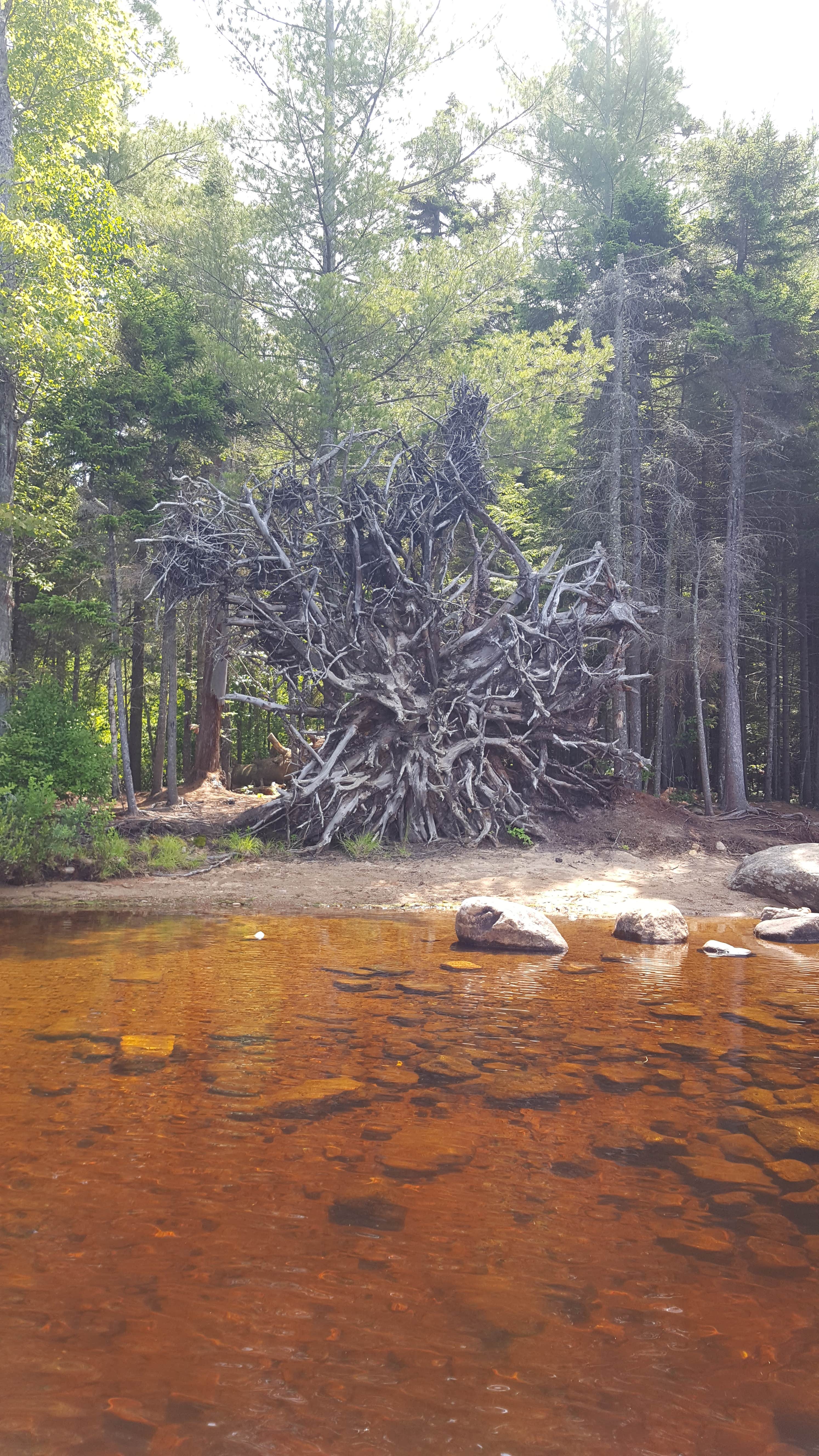 Camper submitted image from Lake Durant Adirondack Preserve - 1