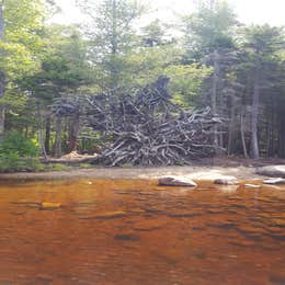 Lake Durant Adirondack Preserve