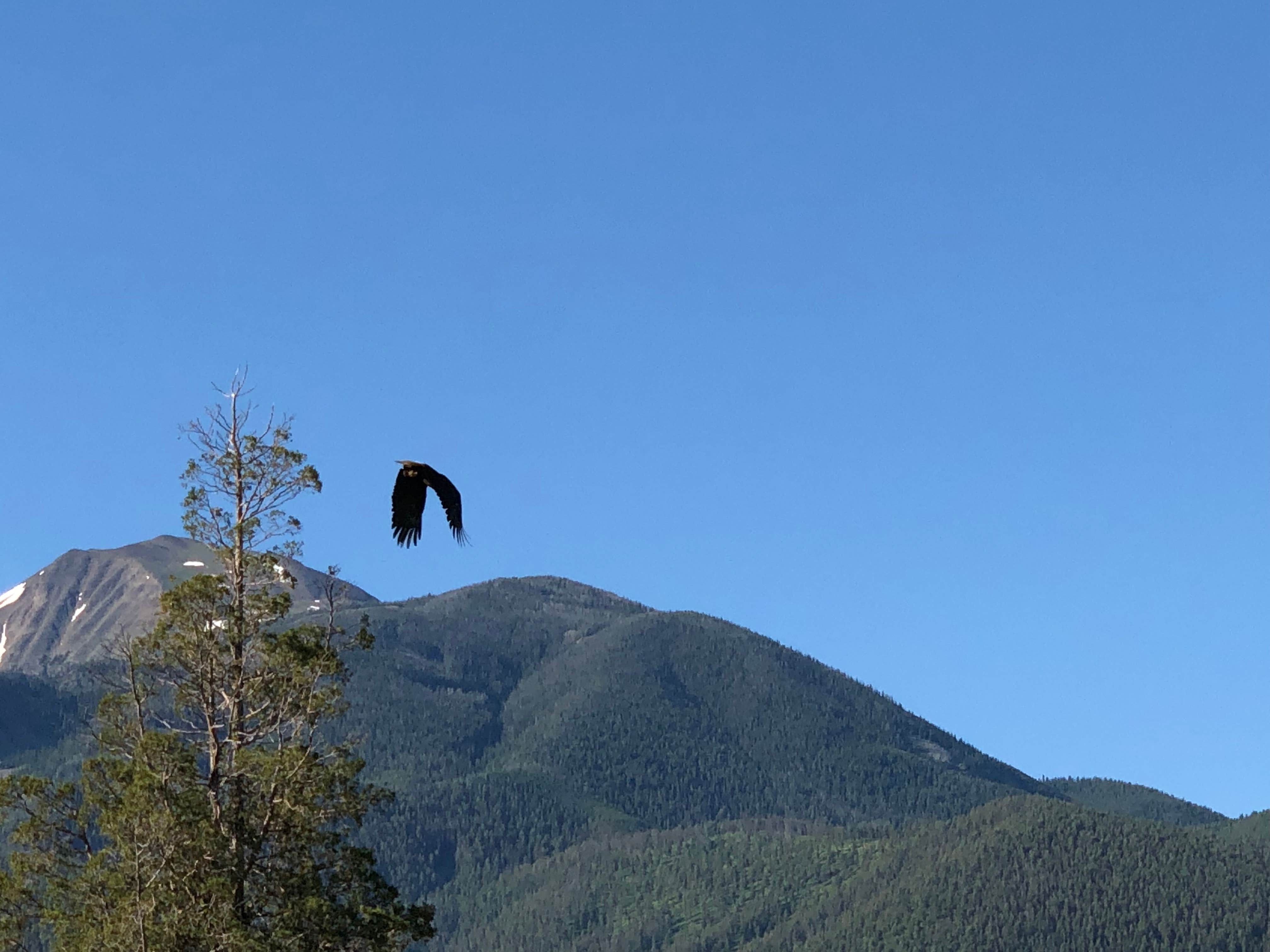 Camper-submitted photo at Gallatin National Forest Snowbank Group Campground near Gardiner, MT