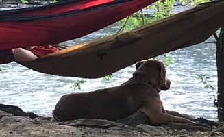 DevinandKalah H.'s photo of camping with pets at White Rock Park near New Castle, IN
