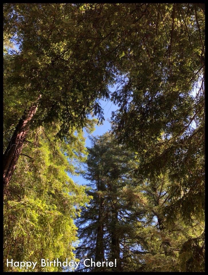 Camper-submitted photo at Redwood Resort RV Park & Campground near Half Moon Bay, CA