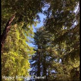 Review photo of Redwood Resort RV Park & Campground by John G., July 13, 2019
