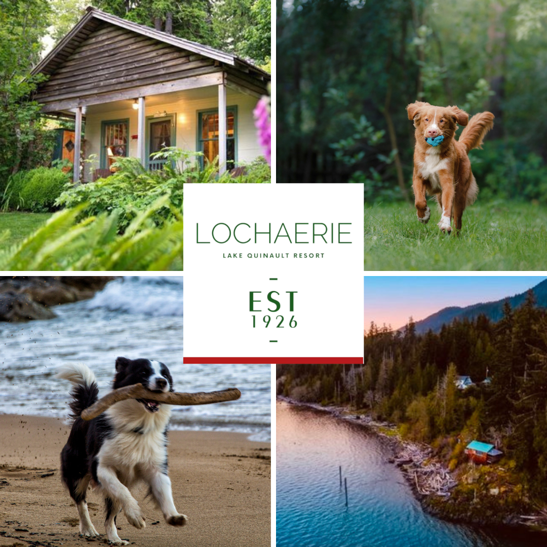 Camper-submitted photo at Lochaerie Resort near Amanda Park, WA