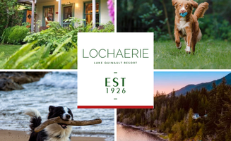 Jeremiah K.'s photo of camping with pets at Lochaerie Resort near Olympic National Forest