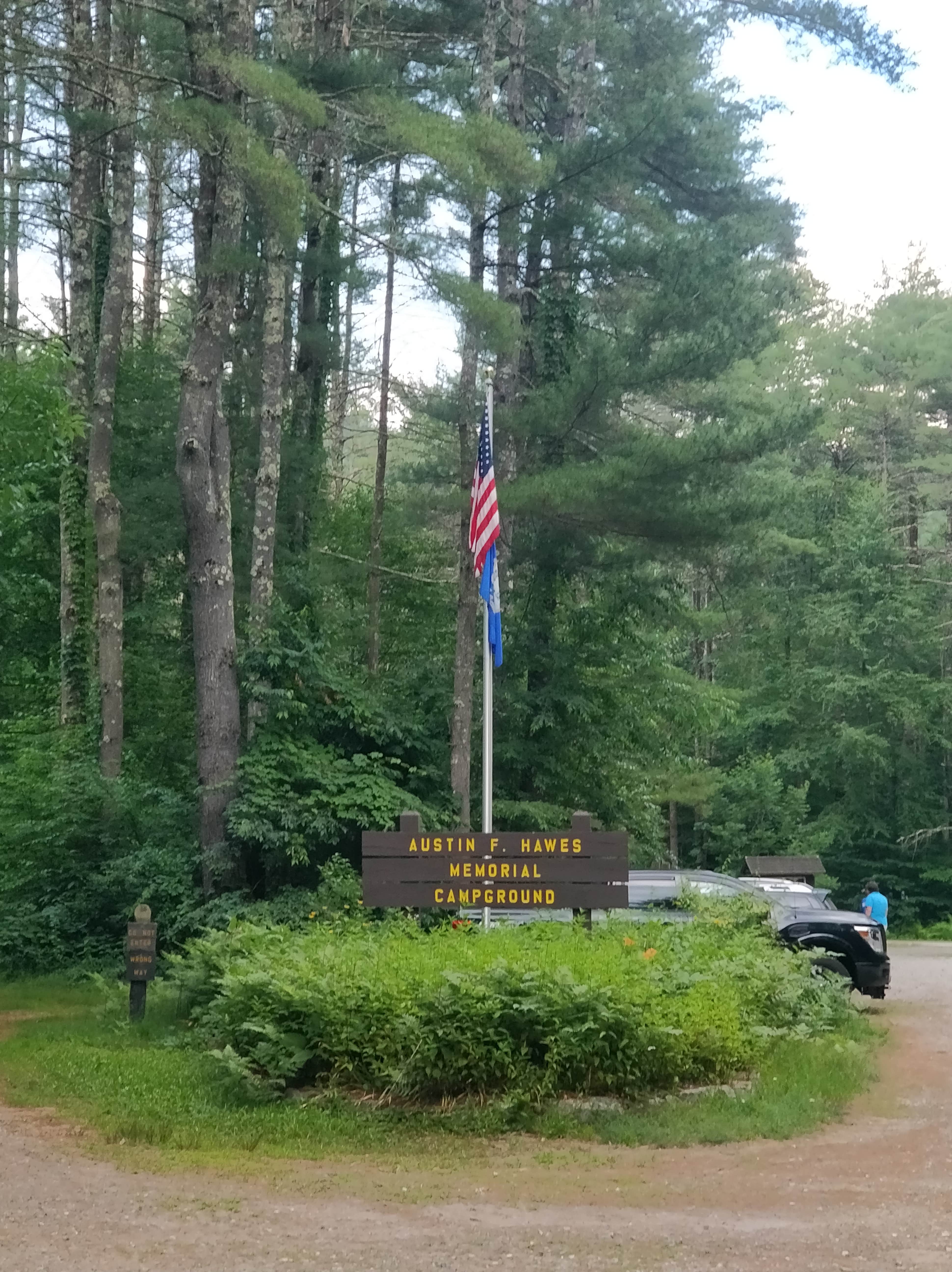 Camper submitted image from Austin Hawes Memorial - American Legion State Forest - 1