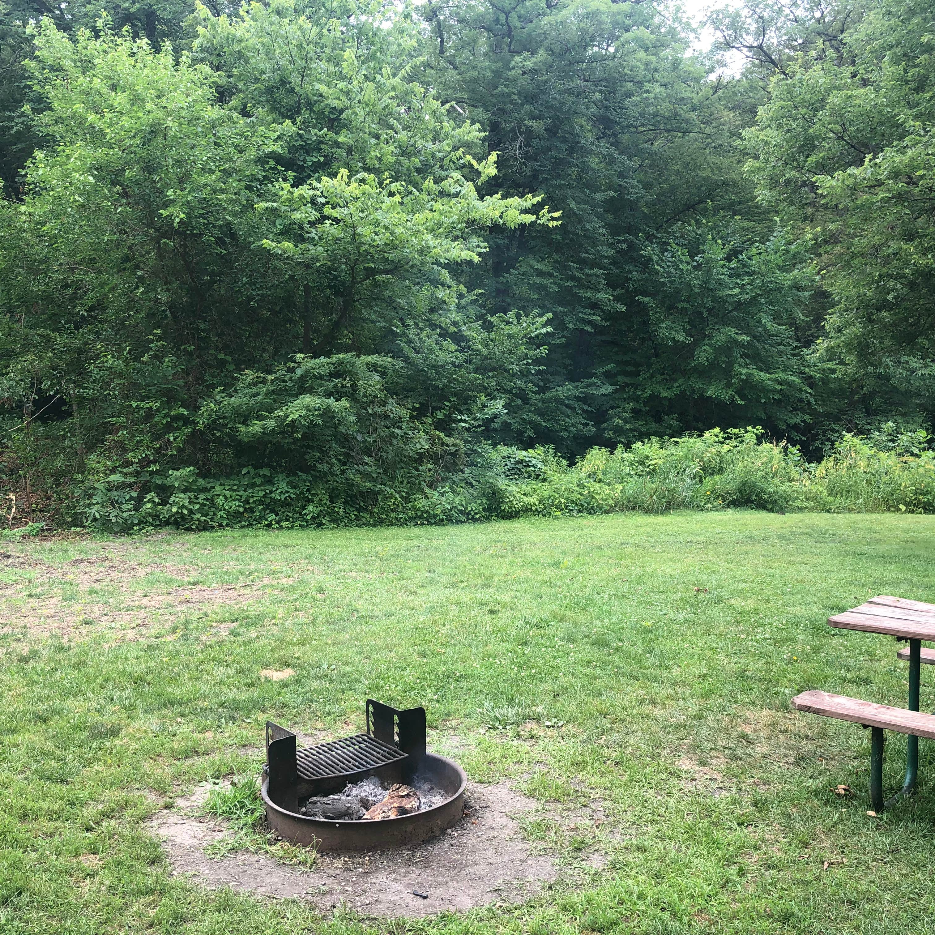 Thomas Mitchell County Park Camping