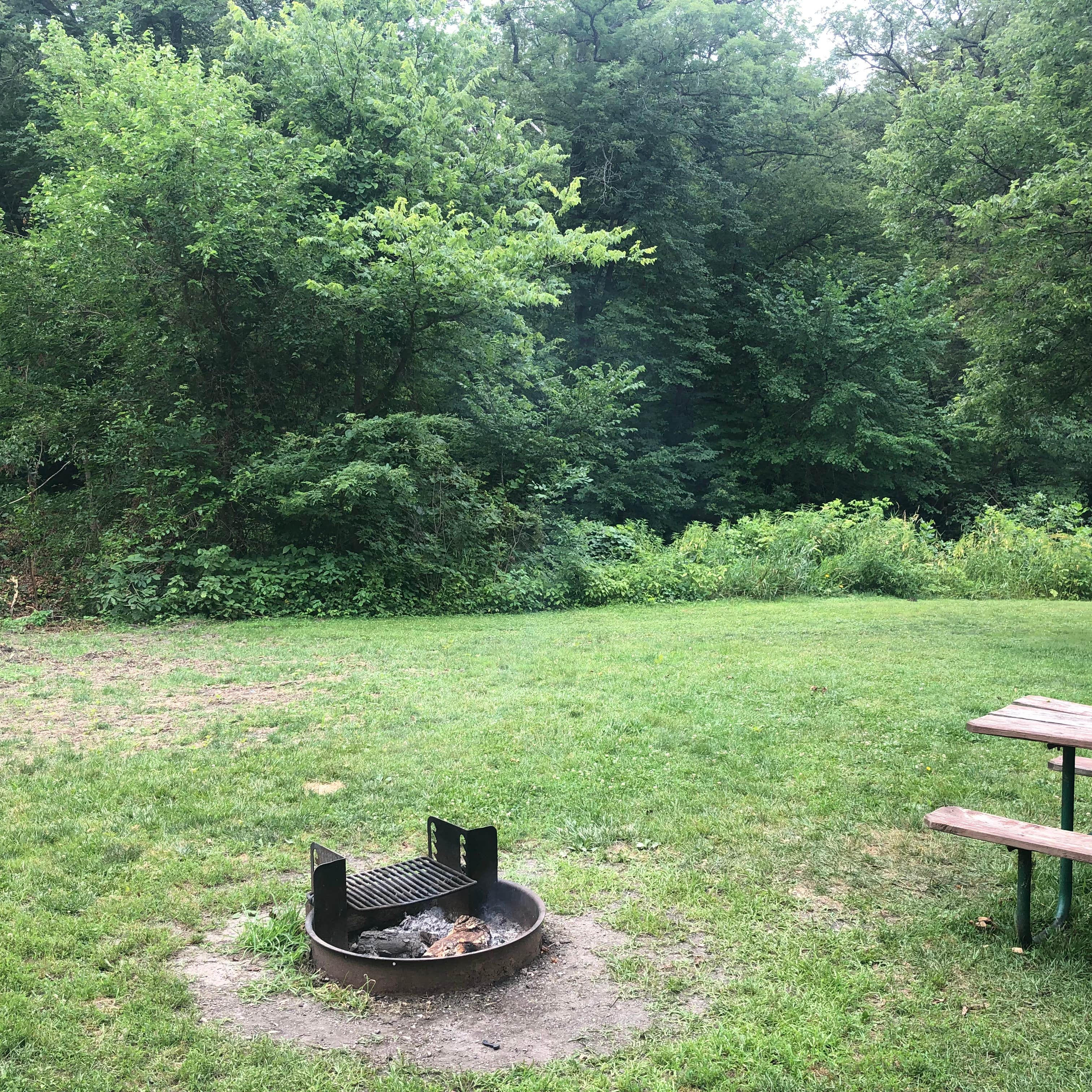 Thomas Mitchell Park - Campsite Photos