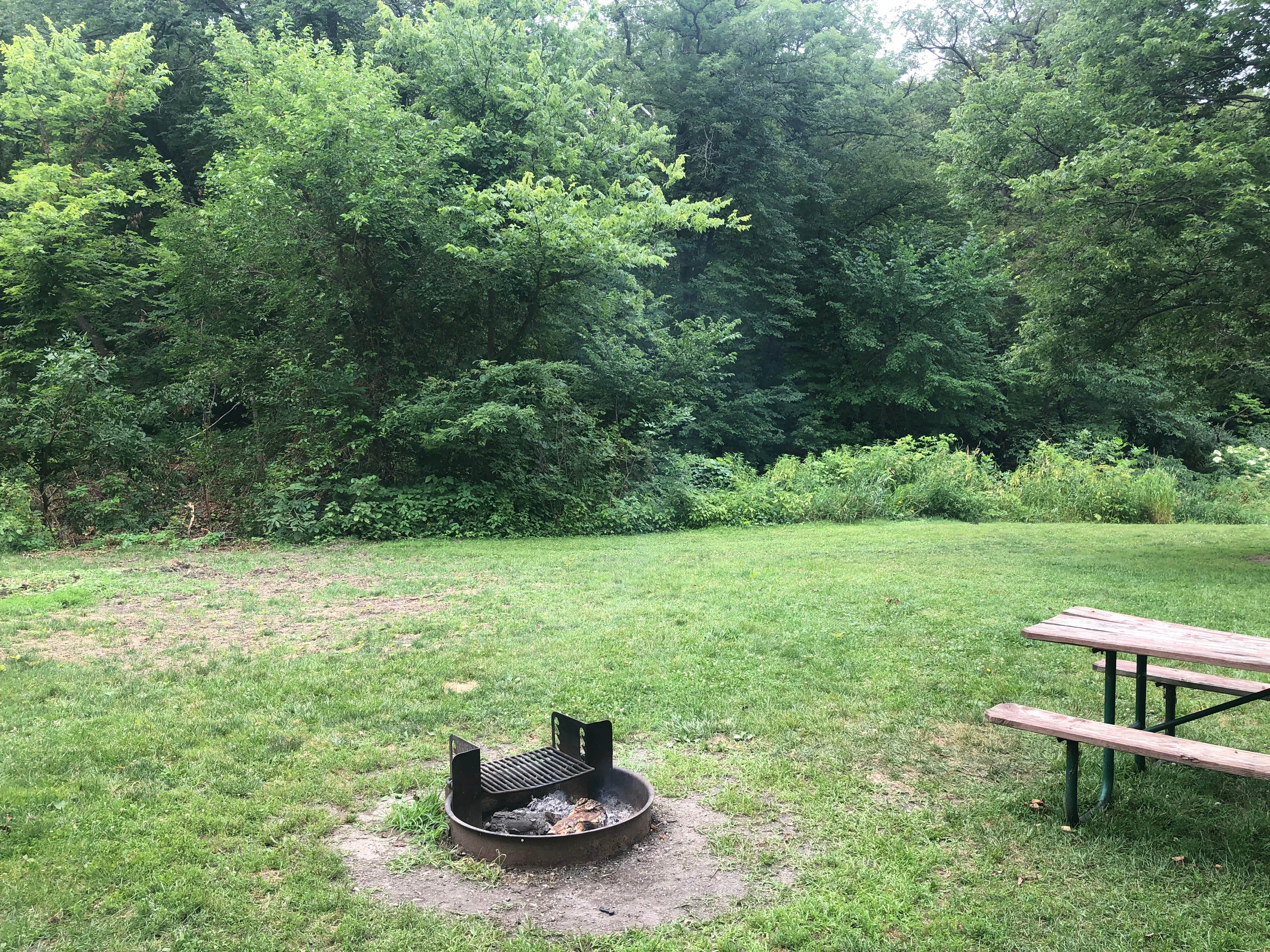 Camper-submitted photo at Thomas Mitchell County Park near Woodburn, IA