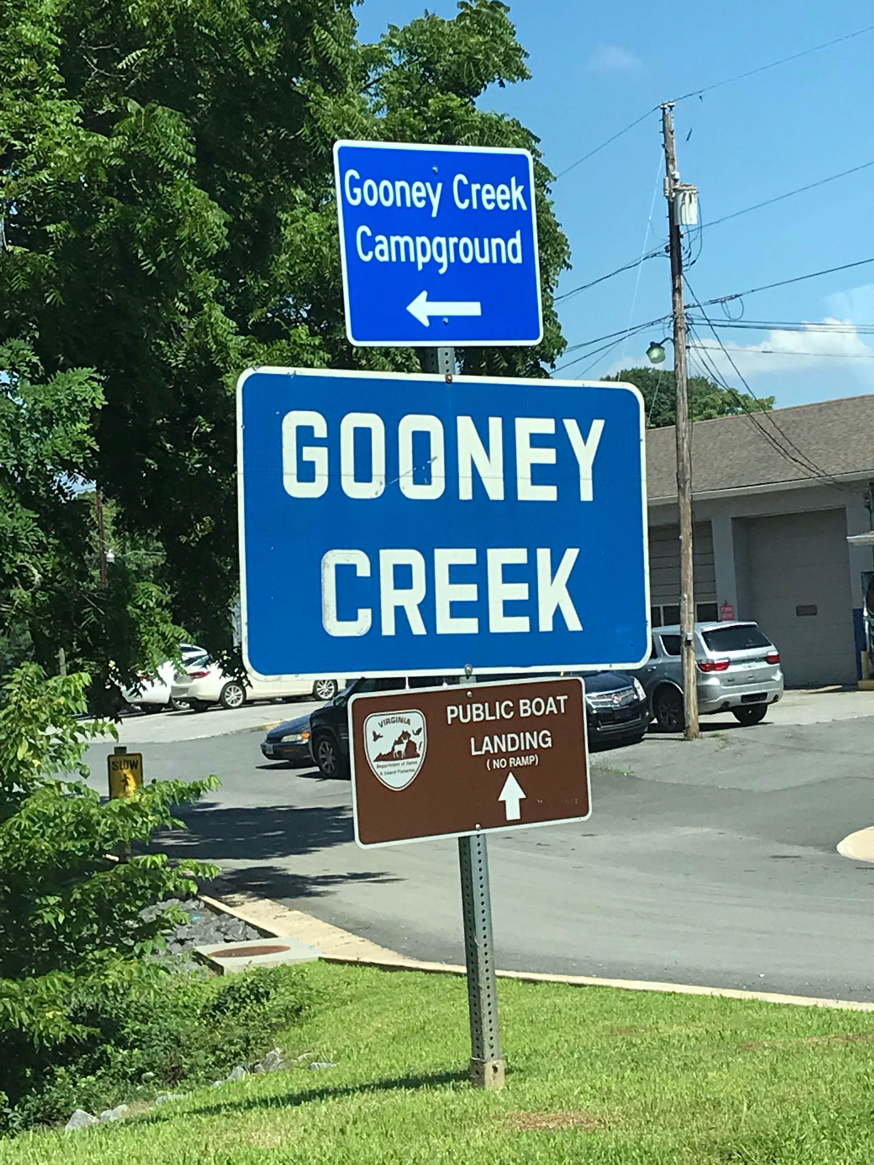 Camper submitted image from Gooney Creek Campground - 3