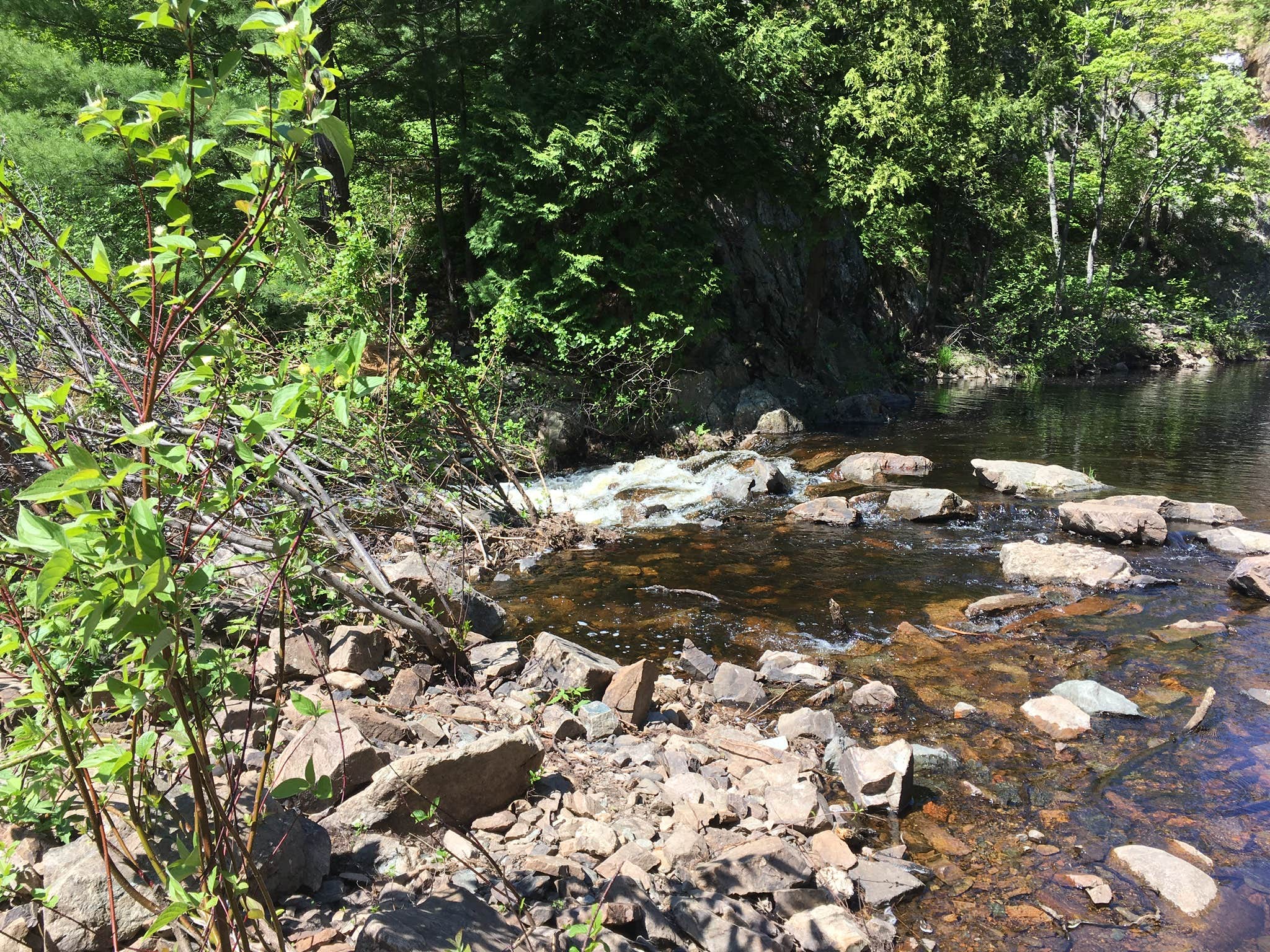 Gorgeous hiking trails in the area