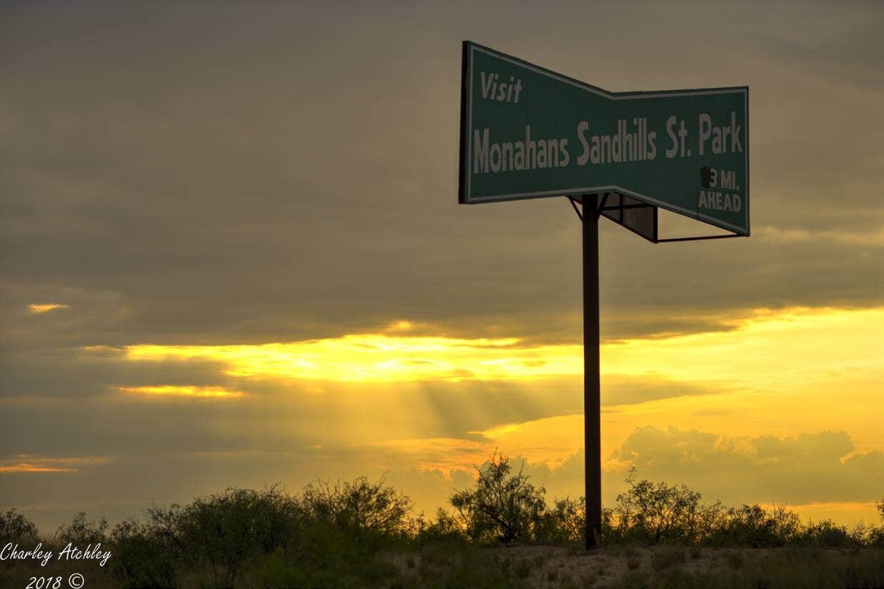 Camper submitted image from Monahans Sandhills State Park Campground - 5