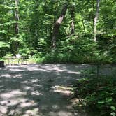 Review photo of Jenny Jump State Forest by Kelsey K., July 13, 2019