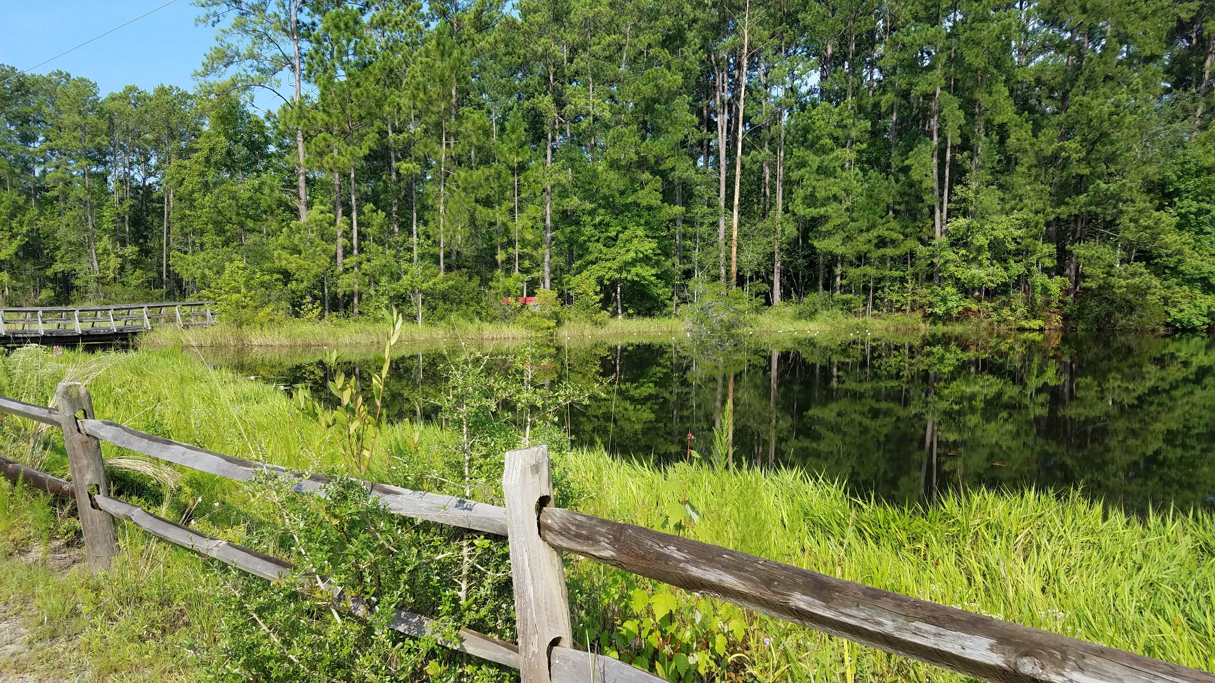 Camper submitted image from Lake Jasper RV Park - 3