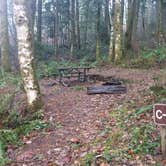 Review photo of Ainsworth State Park Campground by Sarah S., December 15, 2014
