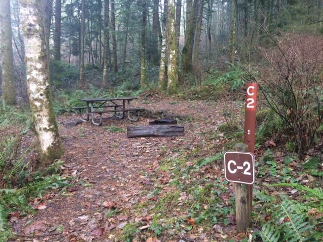 Camper submitted image from Ainsworth State Park Campground - 2