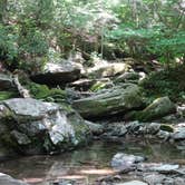 Review photo of Grandfather Mountain Campground by Kirsten J., July 14, 2019