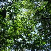 Review photo of Grandfather Mountain Campground by Kirsten J., July 14, 2019