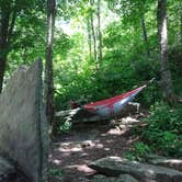 Review photo of Grandfather Mountain Campground by Kirsten J., July 14, 2019