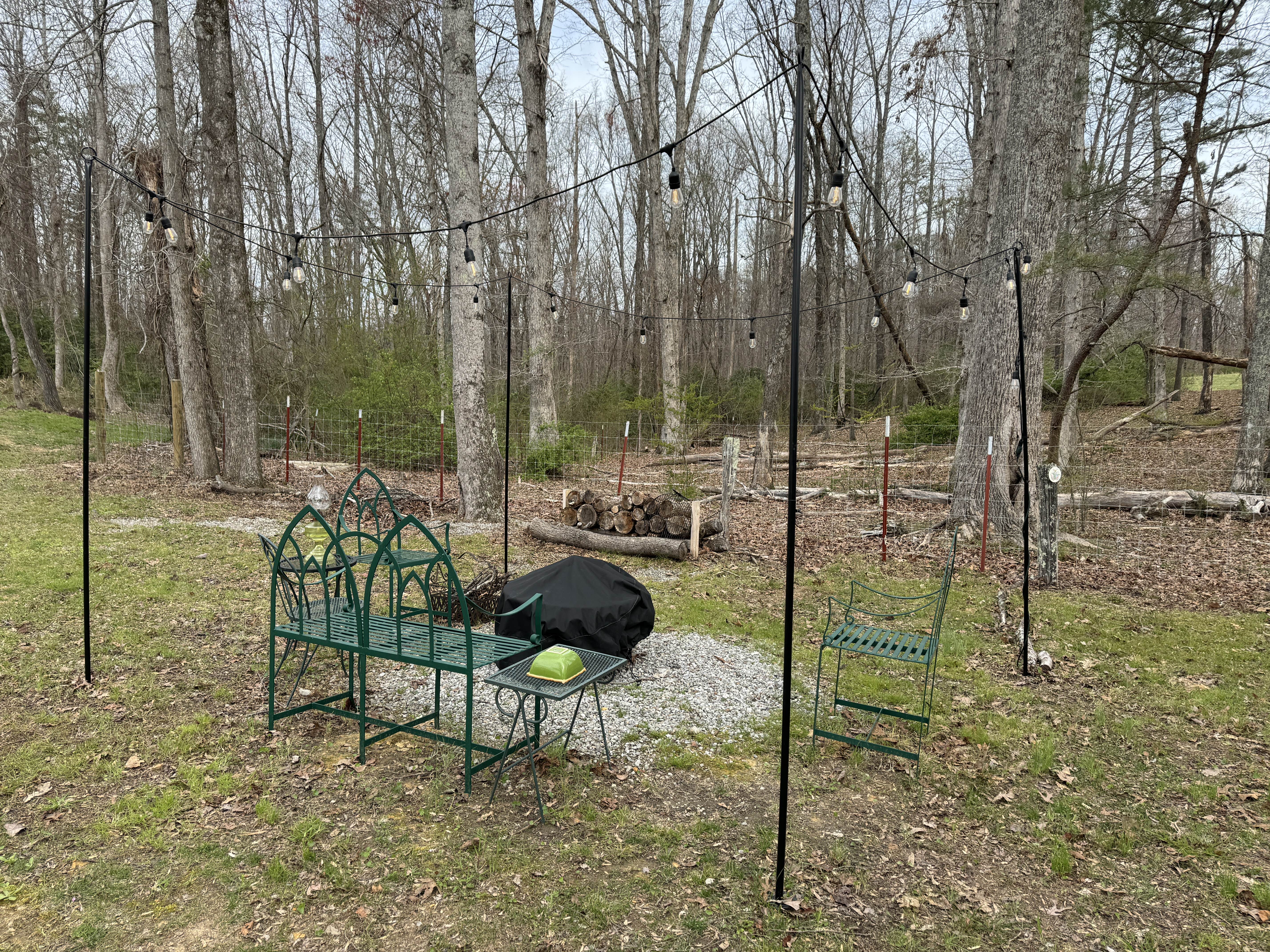 Camper-submitted photo at Paradise Meadows near Signal Mountain, TN