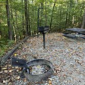 Review photo of Rock Island State Park Campground by Lee D., March 25, 2025