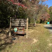 Review photo of Rock Island State Park Campground by Lee D., March 25, 2025