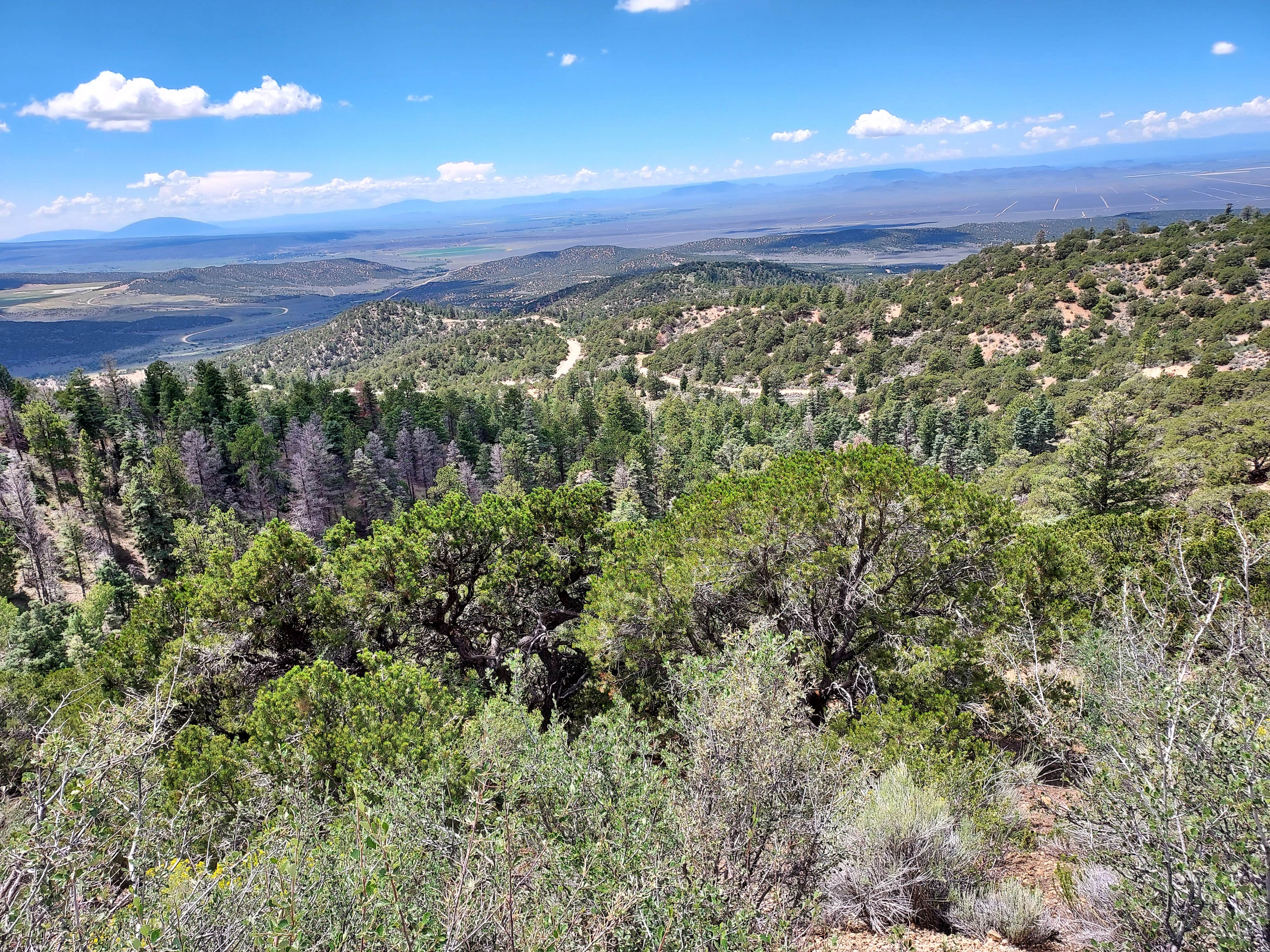 Camper-submitted photo at Sangre de Cristo Mountain RV Escape near Blanca, CO