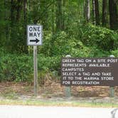 Review photo of Carolina Beach State Park Campground by Kirsten J., July 14, 2019