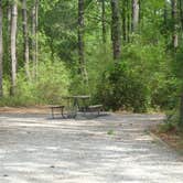 Review photo of Carolina Beach State Park Campground by Kirsten J., July 14, 2019