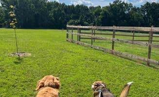 Bekah L.'s photo of camping with pets at Sweet Escape RV Resort near Cabot, AR