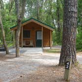 Review photo of Carolina Beach State Park Campground by Kirsten J., July 14, 2019