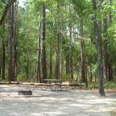 Review photo of Carolina Beach State Park Campground by Kirsten J., July 14, 2019