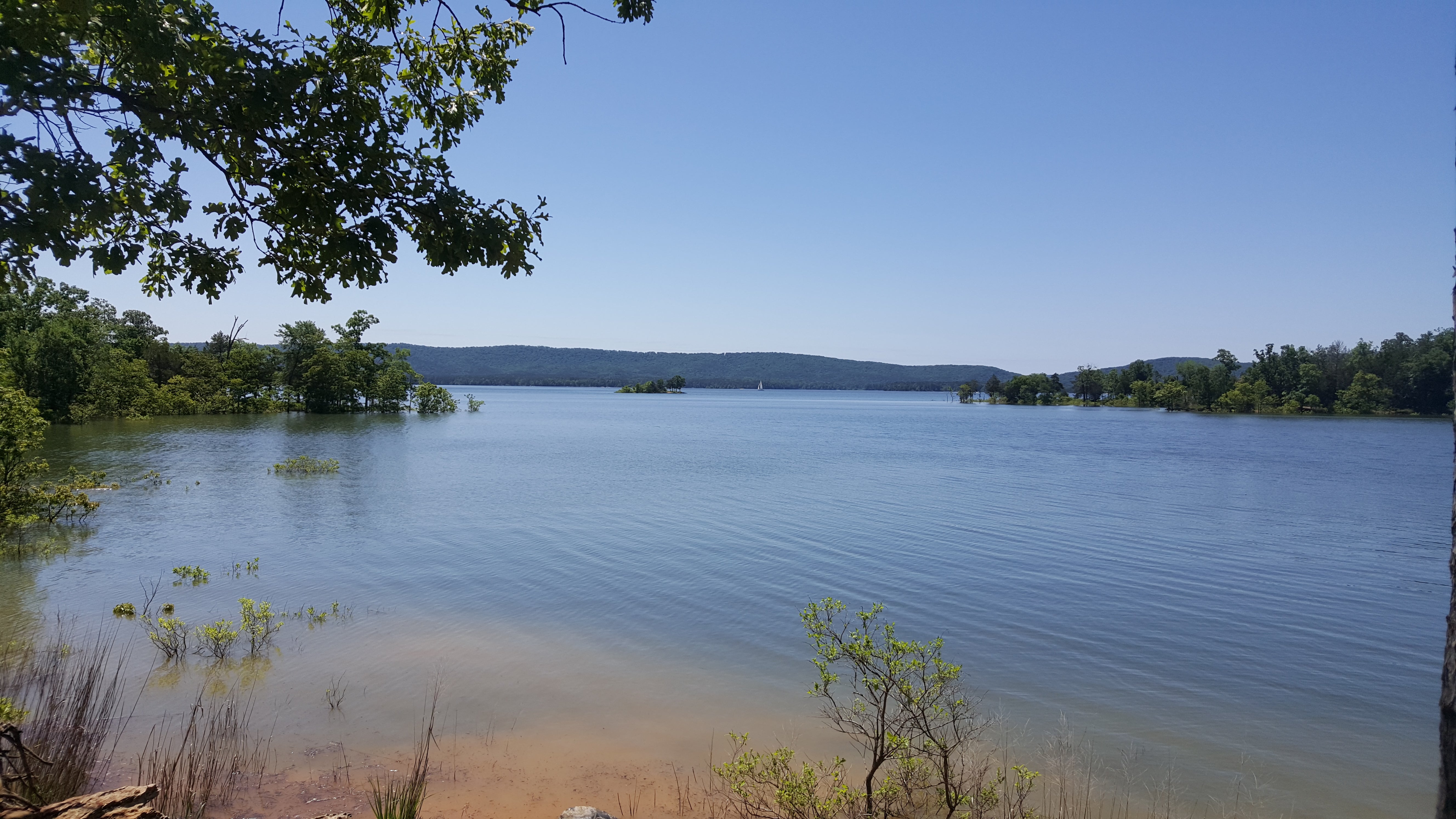 Camper submitted image from Buckville - Lake Ouachita - 4