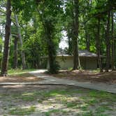 Review photo of Carolina Beach State Park Campground by Kirsten J., July 14, 2019