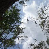 Review photo of Carolina Beach State Park Campground by Kirsten J., July 14, 2019