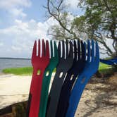 Review photo of Carolina Beach State Park Campground by Kirsten J., July 14, 2019