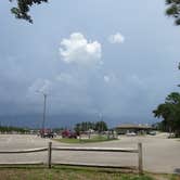 Review photo of Carolina Beach State Park Campground by Kirsten J., July 14, 2019